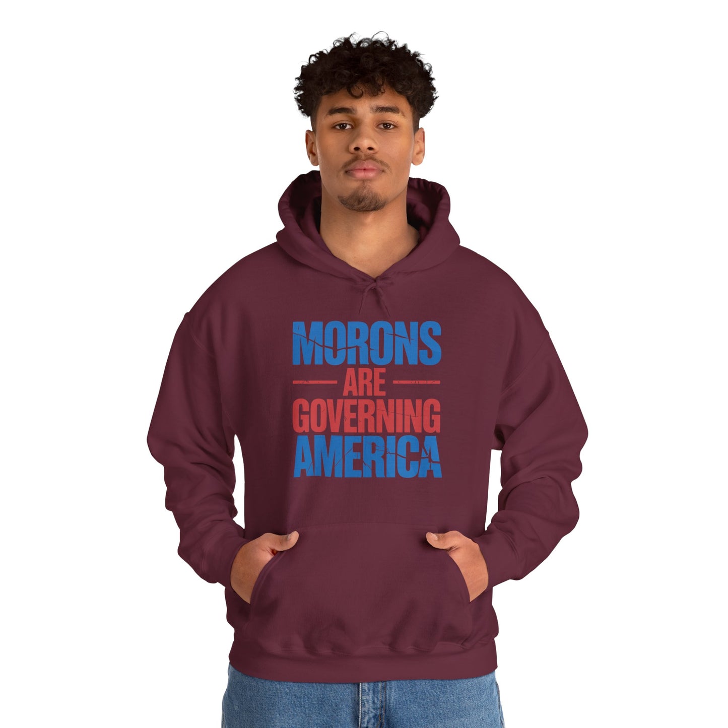 Morons Are Governing America Trump 2025 Hoodie