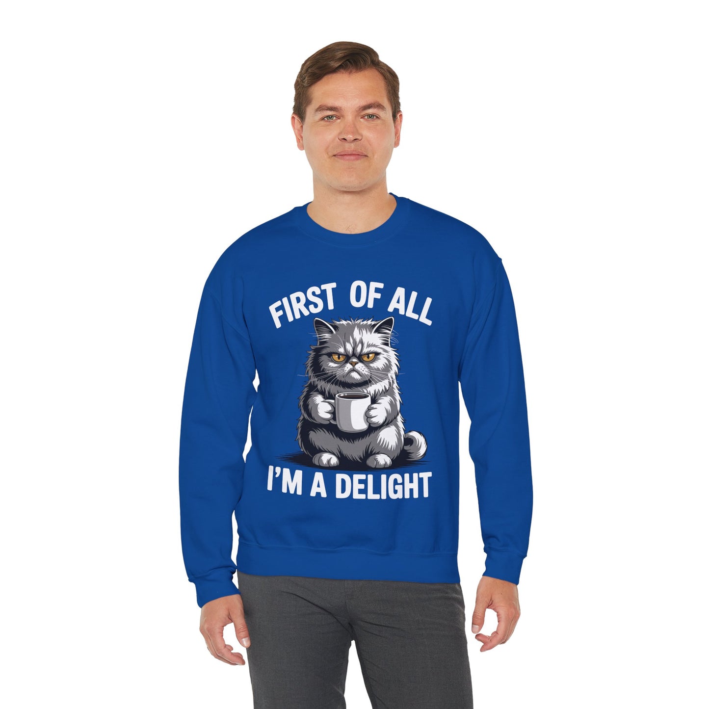 First Of All I'm A Delight Sarcastic Angry Cat Coffee Lover Sweatshirt for Men Women