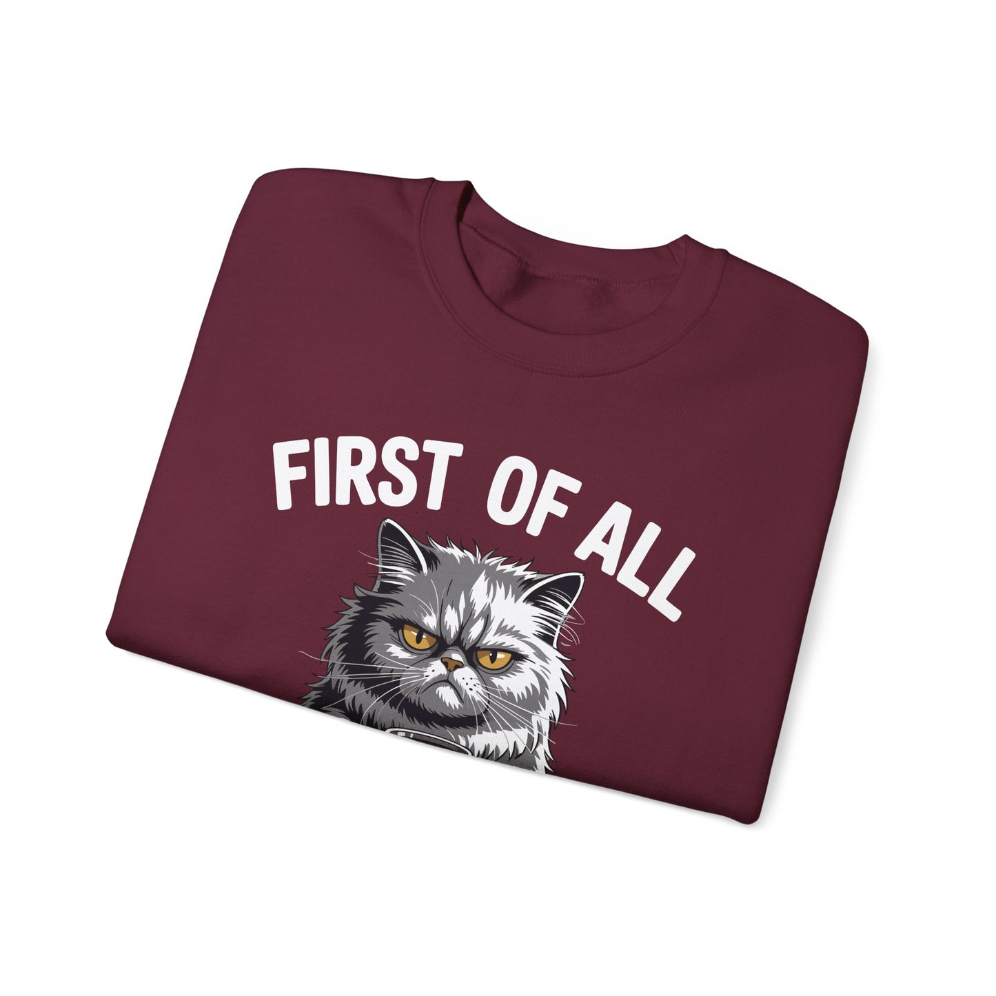First Of All I'm A Delight Sarcastic Angry Cat Coffee Lover Sweatshirt for Men Women