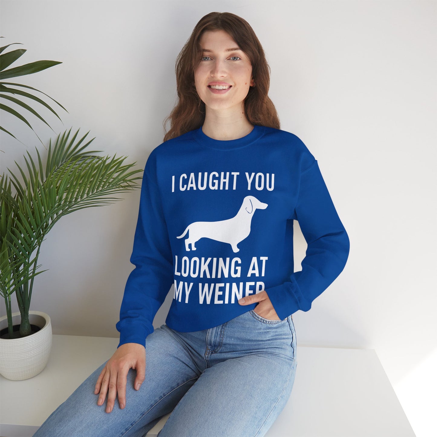 Wiener Dog T Shirt Dachshunds Weiners Hounds Pet Men Women Sweatshirt