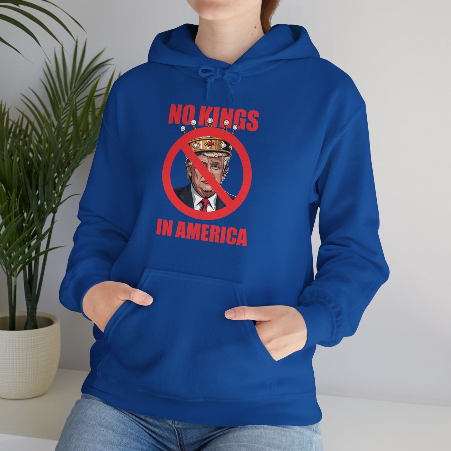 No kings in America Hoodie