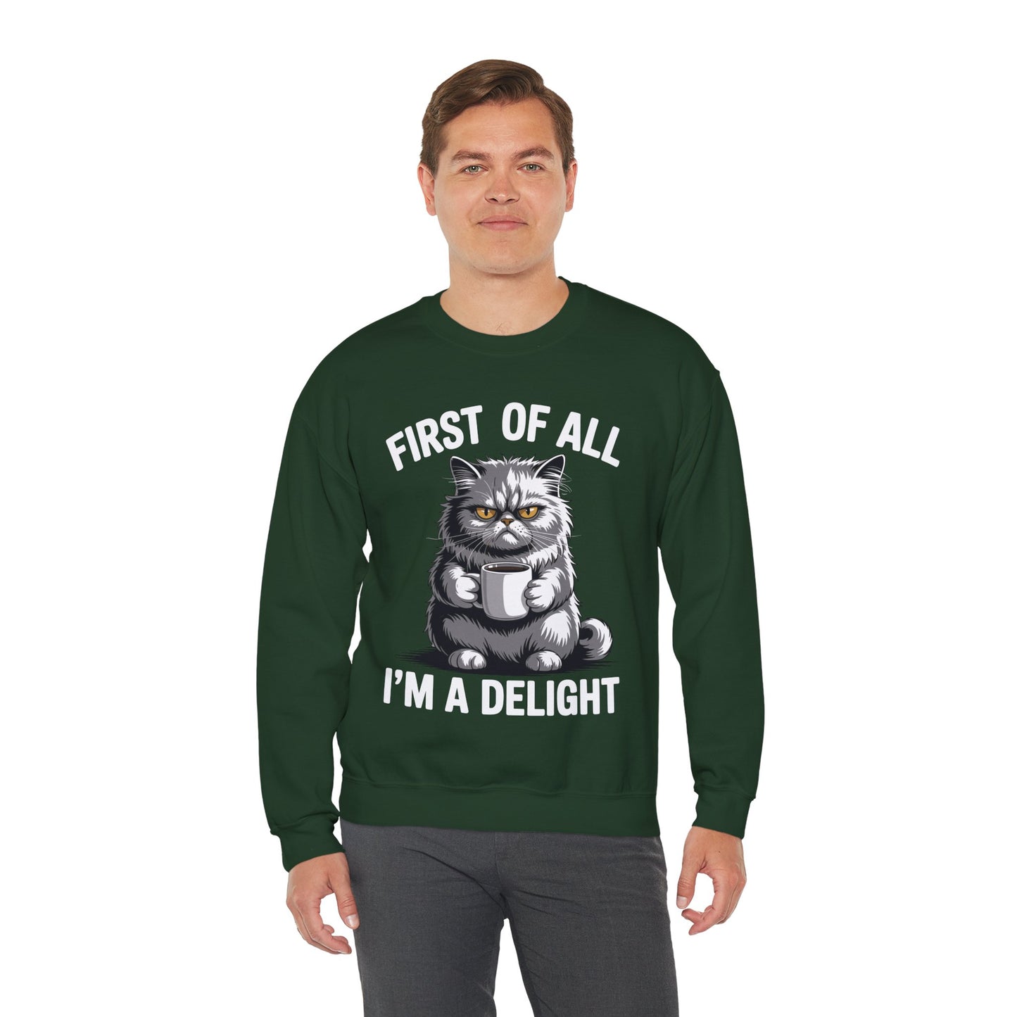 First Of All I'm A Delight Sarcastic Angry Cat Coffee Lover Sweatshirt for Men Women