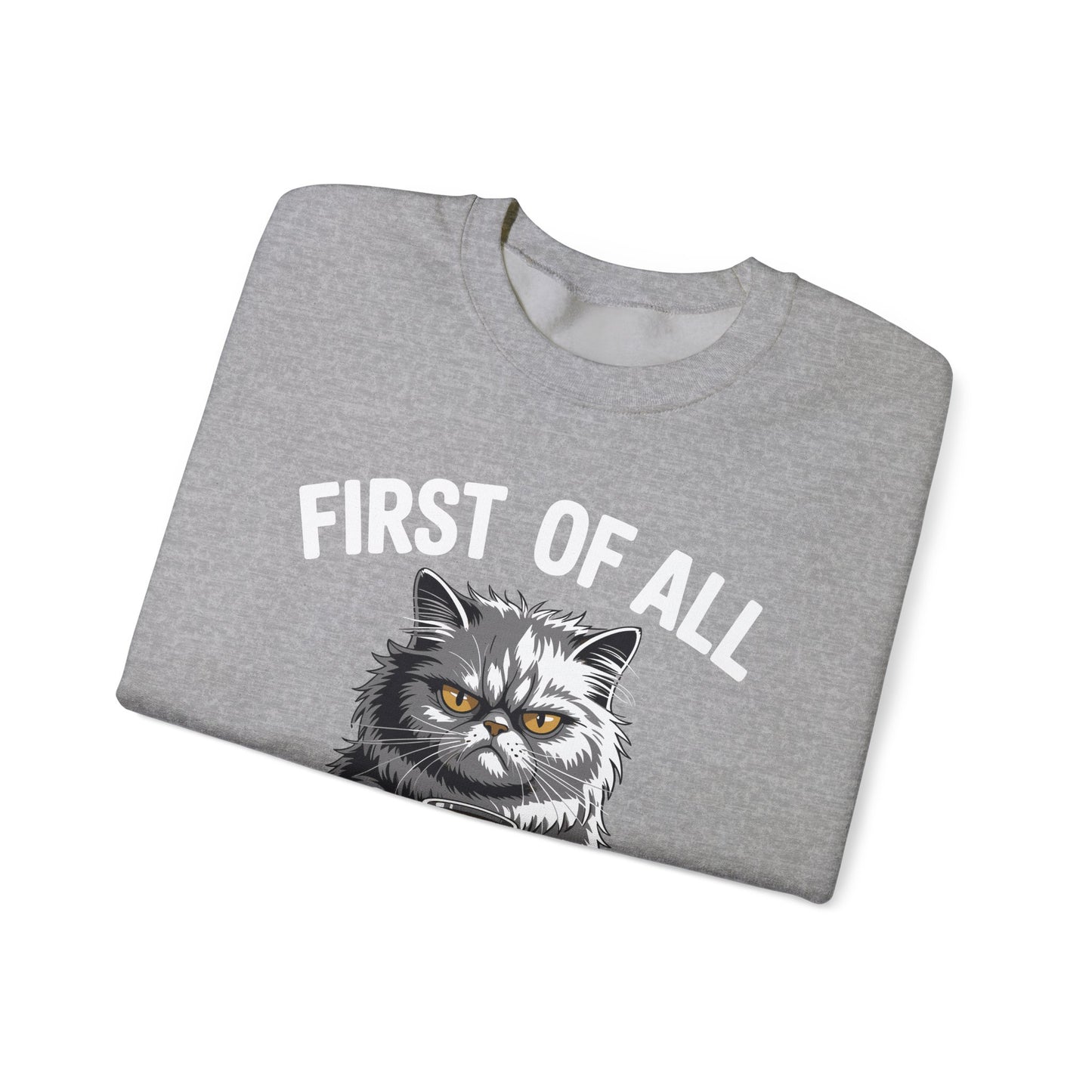 First Of All I'm A Delight Sarcastic Angry Cat Coffee Lover Sweatshirt for Men Women