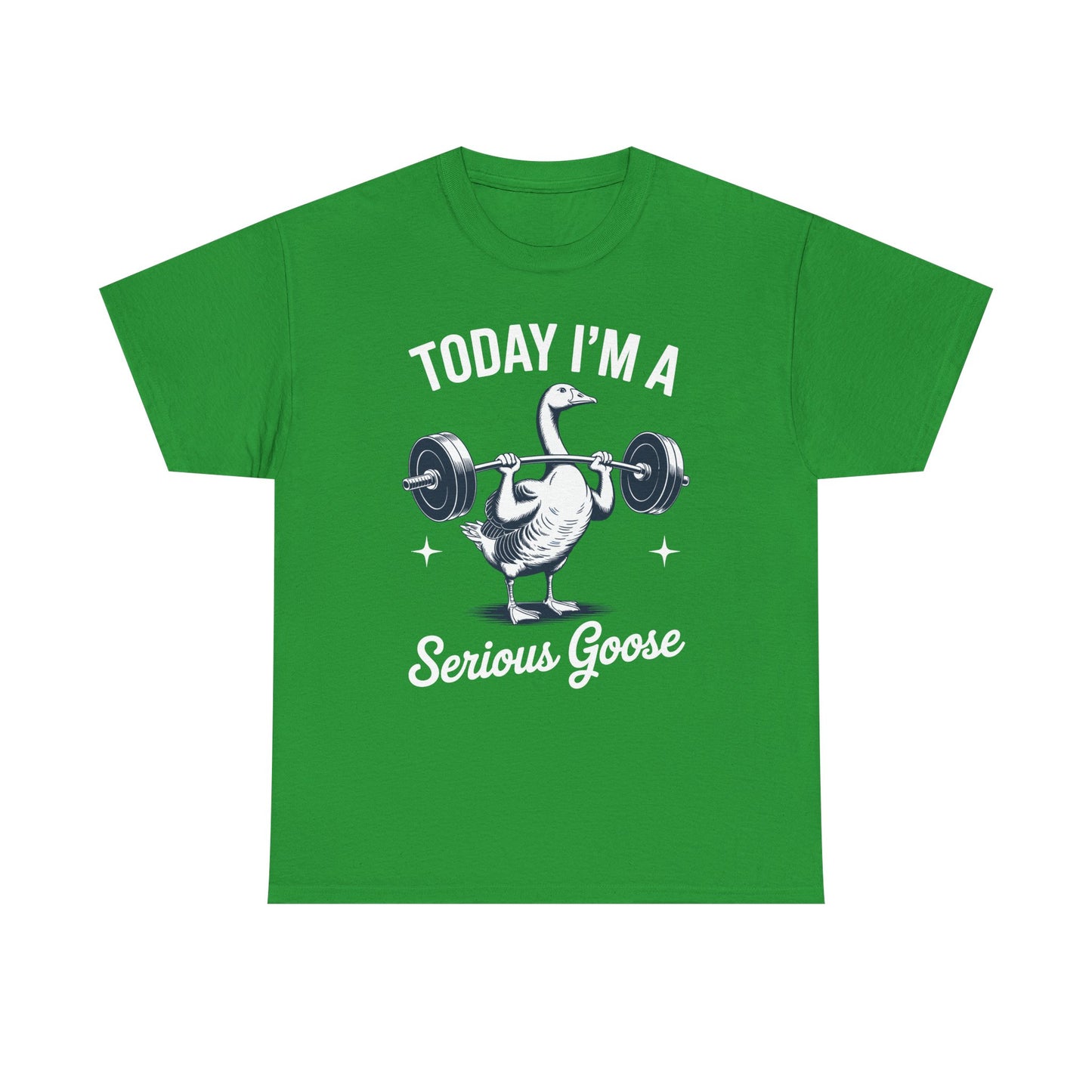 Funny Today I'm A Serious Goose Lifting Weights Gym Fitness T-Shirt