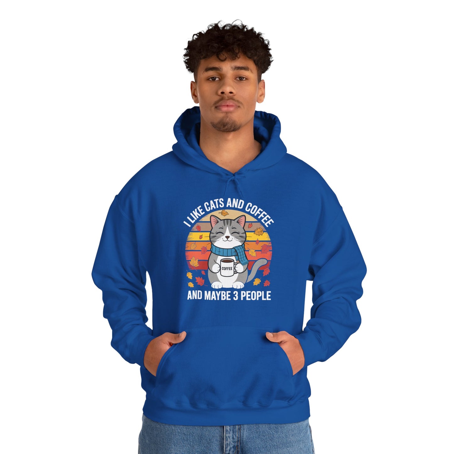 I Like Cats And Coffee And Maybe 3 People , Cats Lover Hoodie