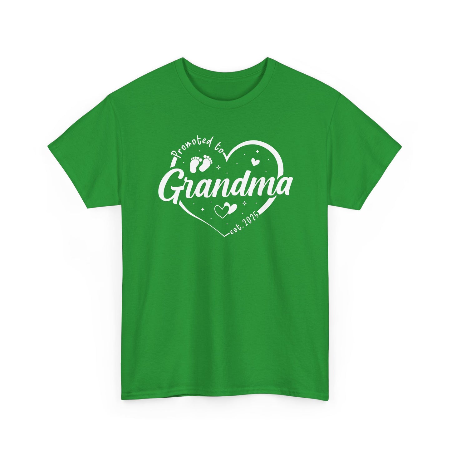 Promoted to Grandma Est 2025 Soon to be Grandma Mothers Day T-Shirt