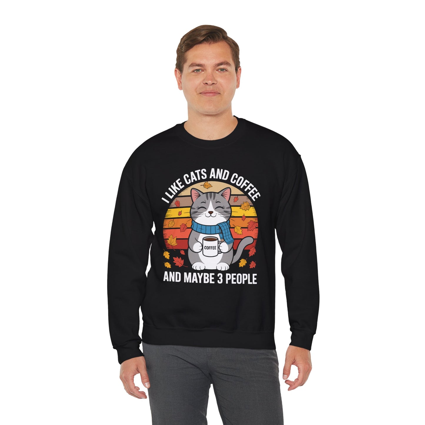 I Like Cats And Coffee And Maybe 3 People , Cats Lover Sweatshirt