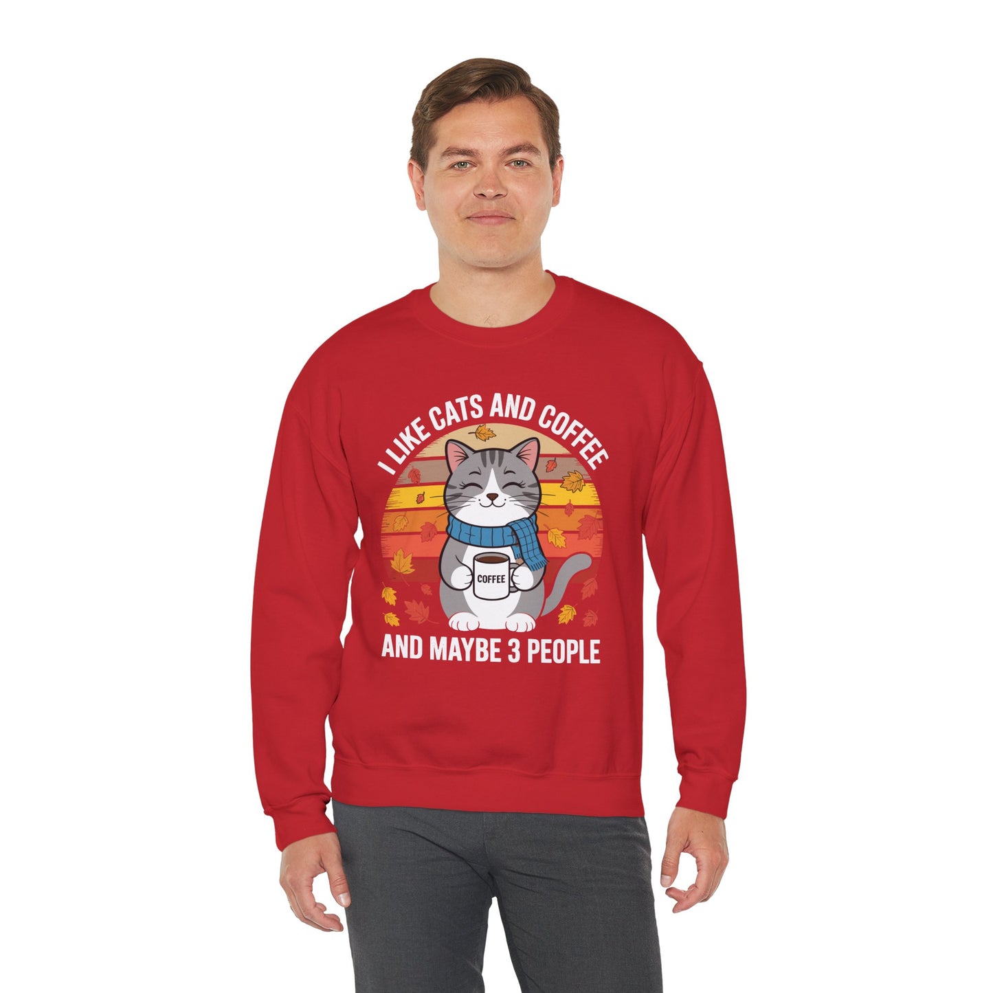 I Like Cats And Coffee And Maybe 3 People , Cats Lover Sweatshirt