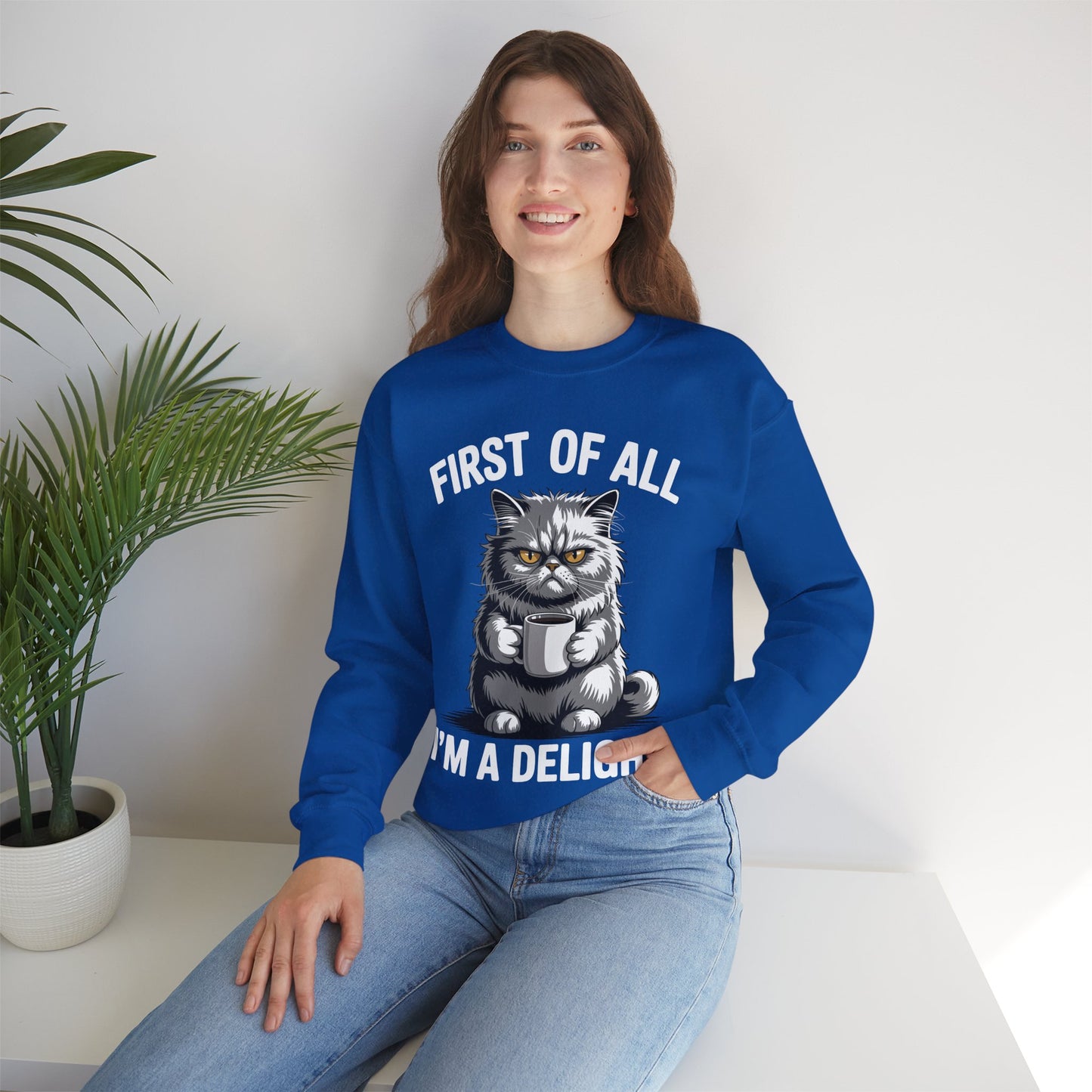 First Of All I'm A Delight Sarcastic Angry Cat Coffee Lover Sweatshirt for Men Women