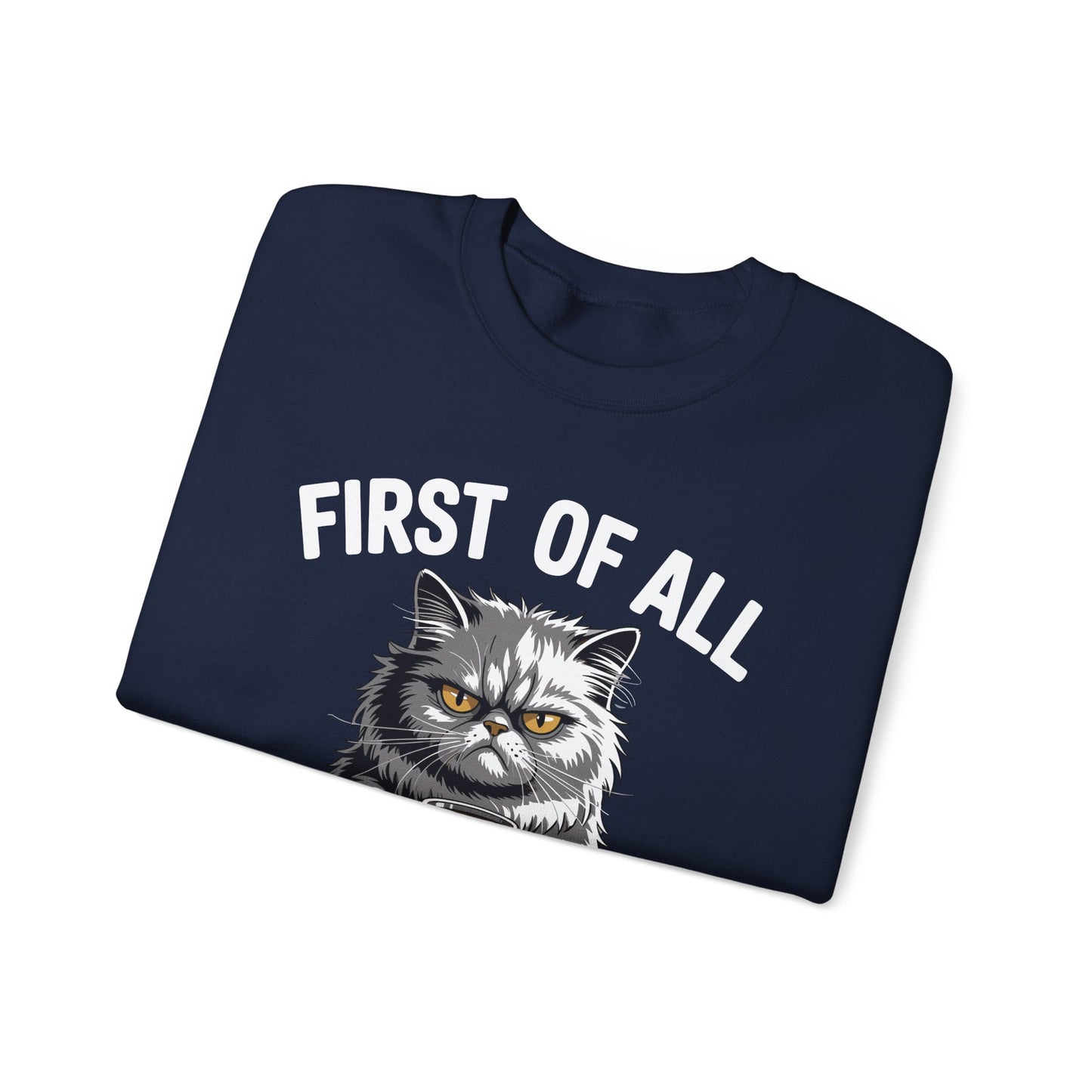First Of All I'm A Delight Sarcastic Angry Cat Coffee Lover Sweatshirt for Men Women