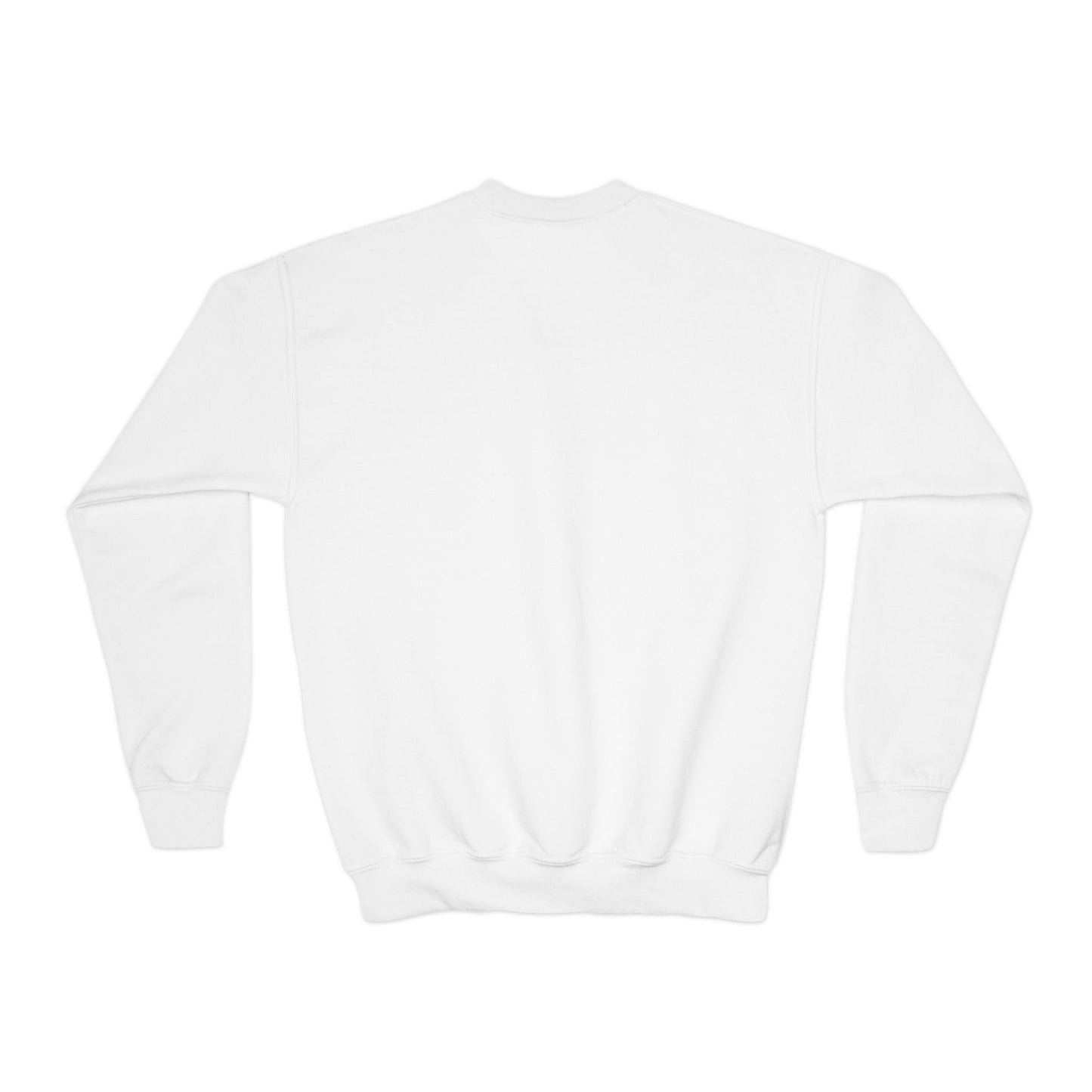 I Went Outside Once The Graphics Weren't That Good Gamer Boy Sweatshirt