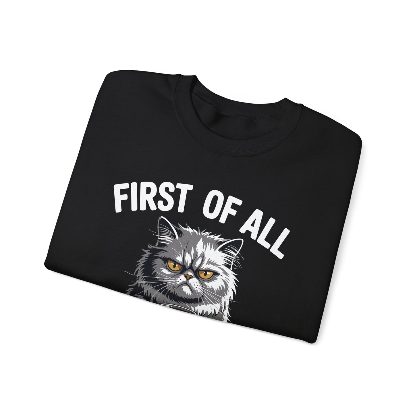First Of All I'm A Delight Sarcastic Angry Cat Coffee Lover Sweatshirt for Men Women