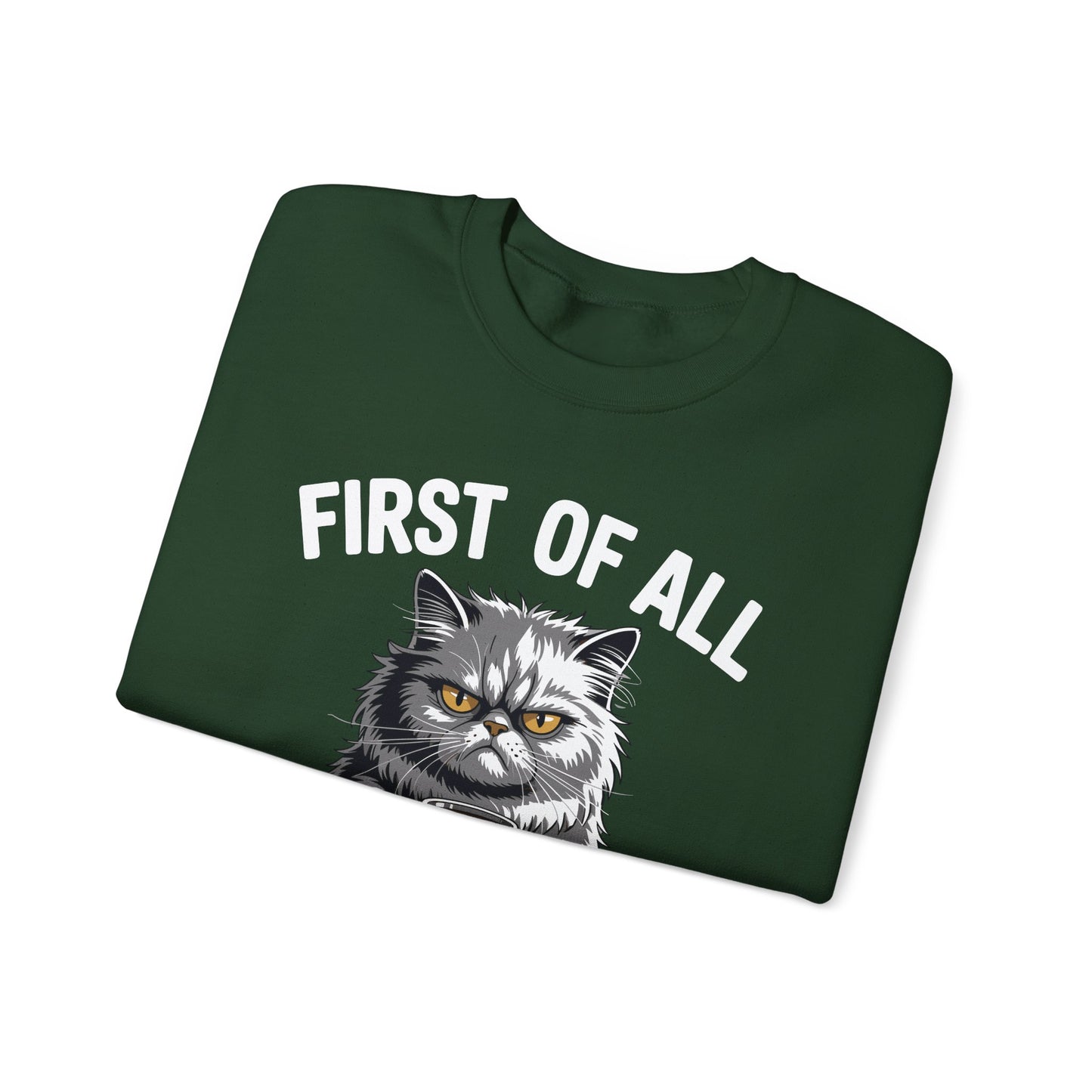 First Of All I'm A Delight Sarcastic Angry Cat Coffee Lover Sweatshirt for Men Women