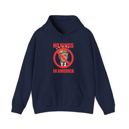No kings in America Hoodie