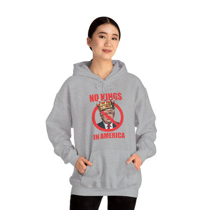 No Kings In America Hoodie