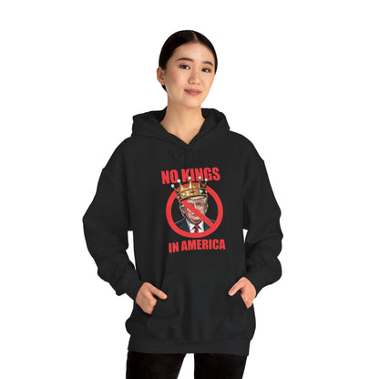 No Kings In America Hoodie