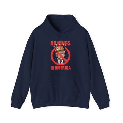 No Kings In America Hoodie