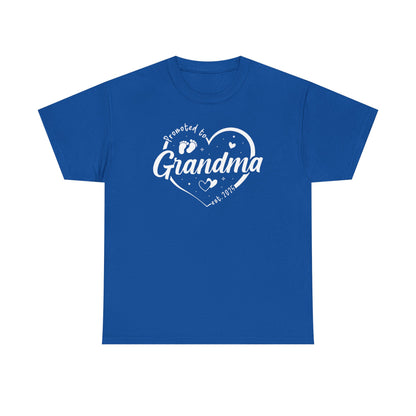 Promoted to Grandma Est 2025 Soon to be Grandma Mothers Day T-Shirt