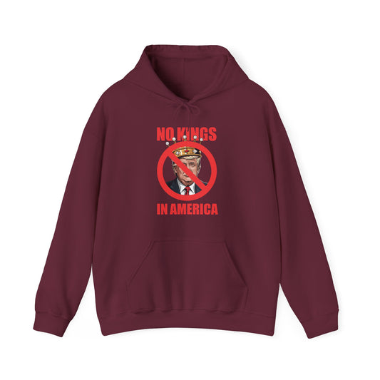 No kings in America Hoodie