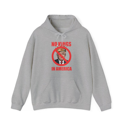 No kings in America Hoodie
