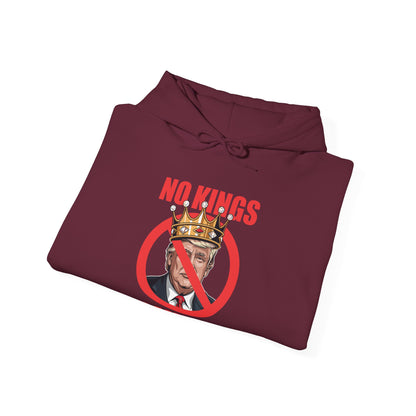 No Kings In America Hoodie