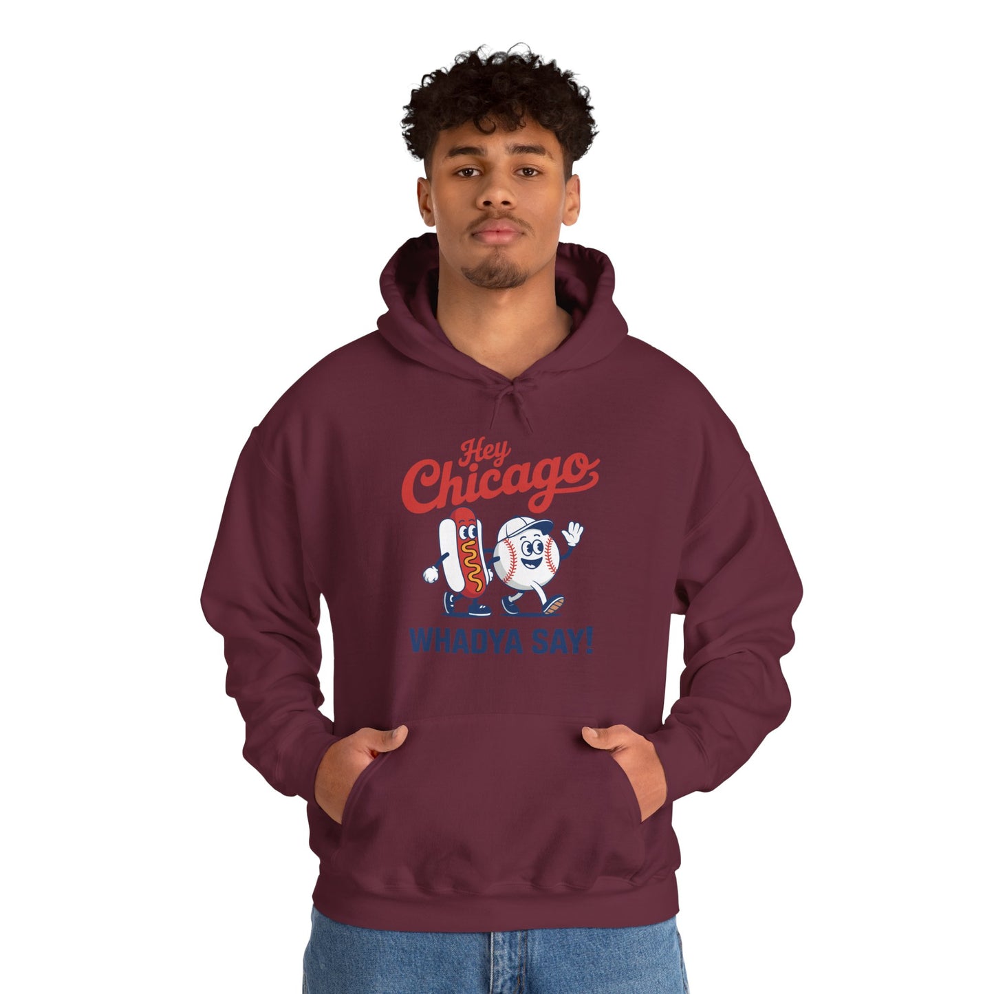Hey Chicago Whadya Say Baseball and Hot Dog 4th of July Men Women Hoodie