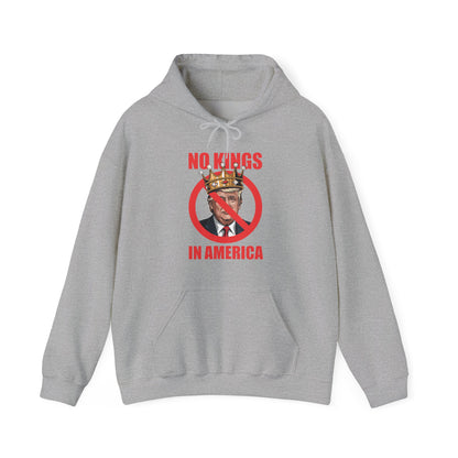 No Kings In America Hoodie