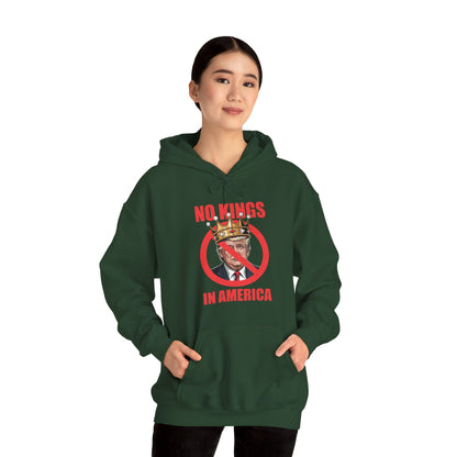 No Kings In America Hoodie
