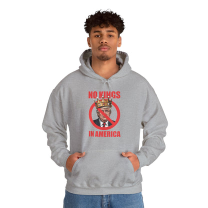 No Kings In America Hoodie