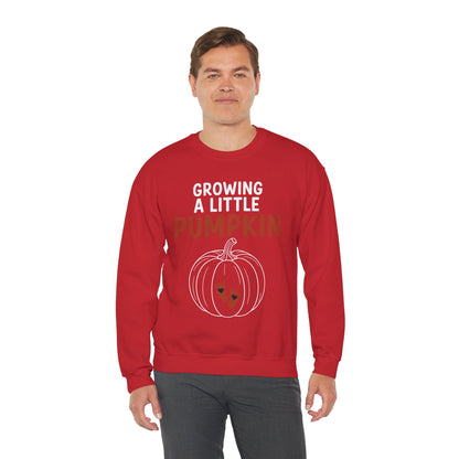 Growing A Little Pumpkin Fall Thanksgiving Baby Bump Wife Sweatshirt