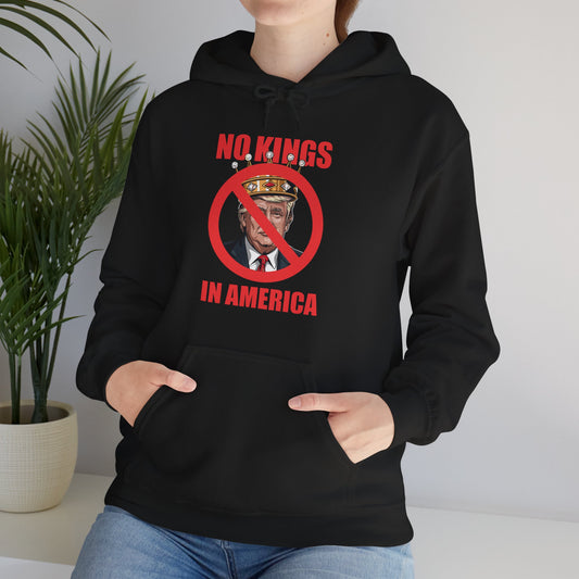 No kings in America Hoodie