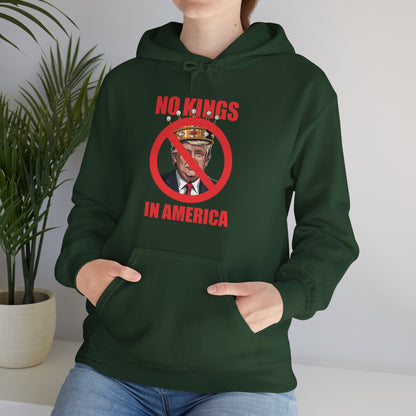 No kings in America Hoodie